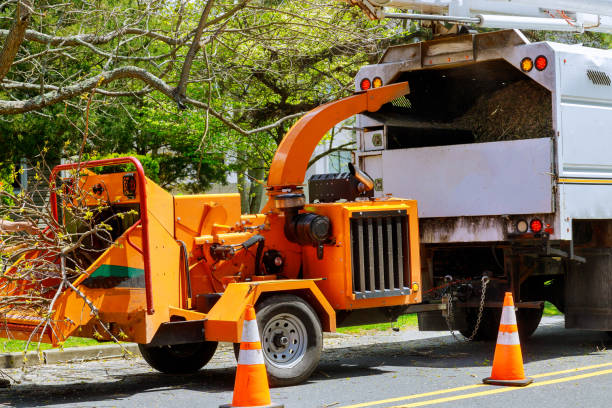 Best Utility Line Clearance  in Stockton, UT